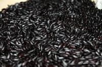 Black Rice