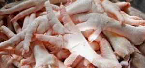 Frozen Chicken Feet