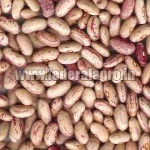 Speckled Kidney Beans