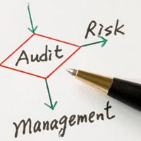 Auditing and Assurance Services