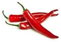 Fresh Red Chilli