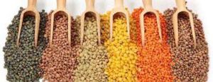 Indian Pulses