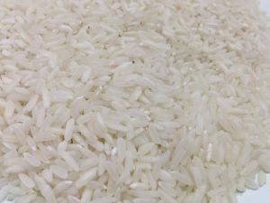 Non Basmati Rice