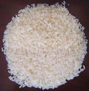 IR 36 Rice