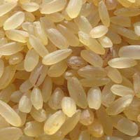 MTU-1001 Rice