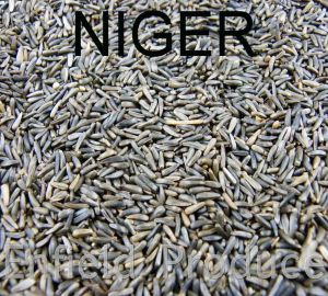 Niger Seeds