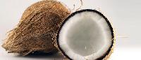 Fresh Coconut