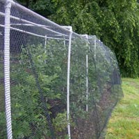 Bird Net Installation Service