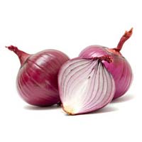 Fresh Onion