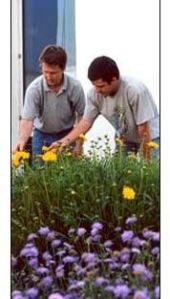 horticulture services