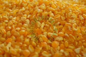 Broken Maize Seeds