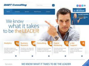 DART Consulting