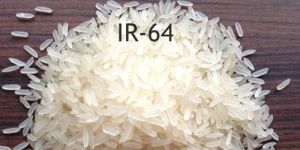 IR64 Basmati Rice