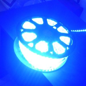 Led Strip Lights