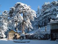 Manali Tour Services