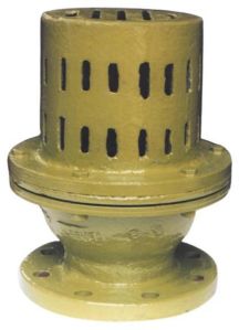 Foot Valve