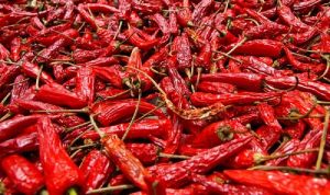 Dried Red Chilli