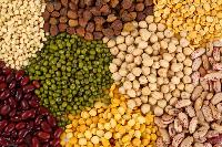 Indian Pulses