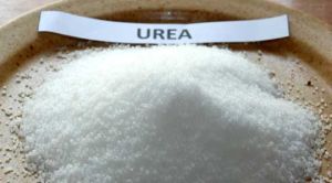 Urea Fertilizers