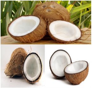 Fresh Coconut