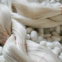 silk fibers