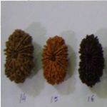 rudraksha jewellery