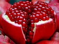 Pomegranate Extract