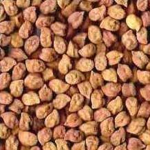 Black Chickpeas