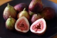 Fresh Figs