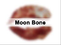 Dried Buffalo Moon Bone