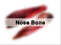 Dried Buffalo Nose Bone