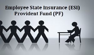 PF & ESIC Registration Services