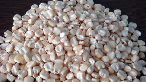 White Maize