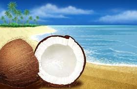 Fresh Coconut