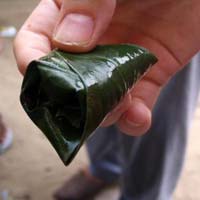 Tobacco Paan