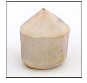 Trimmed Coconut