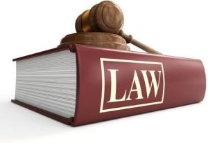 Company Law Services