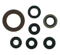 Oil seal kit