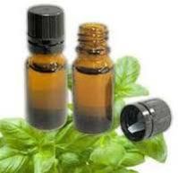 Holy Basil Oil