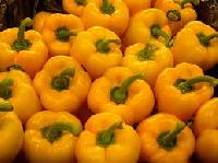 Yellow Capsicum