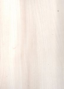 Textured Laminates - FINN ELM