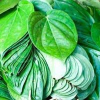 Organic Betel Leaves