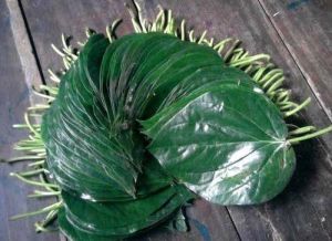 Tokapali Sweet Betel Leaves