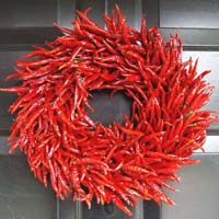 Dry Red Indian Chillies Byadgi