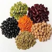 Organic Pulses