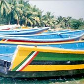 Fibre fishing boats