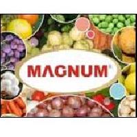 Magnum