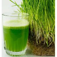 Wheatgrass Juice