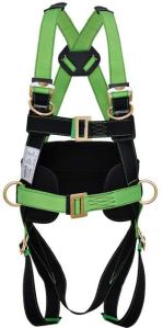 Body Harness