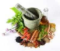 medicinal plant extracts